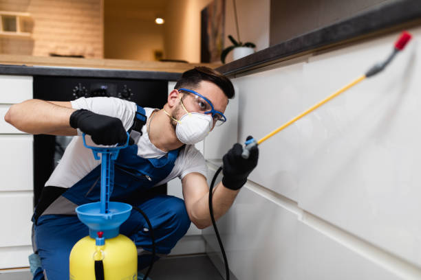 Best Pest Control Near Me  in Prairie Creek, AR