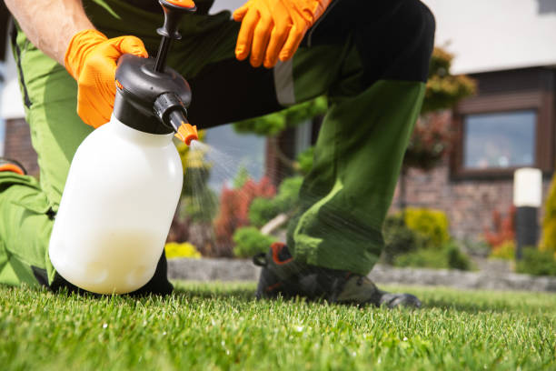 Best Best Pest Control Companies  in Prairie Creek, AR