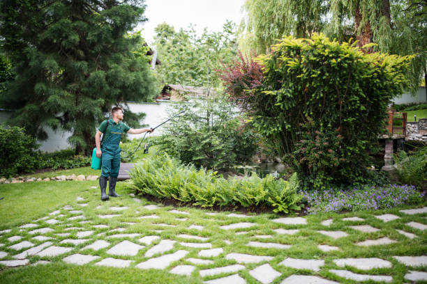 Professional Pest Control in Prairie Creek, AR