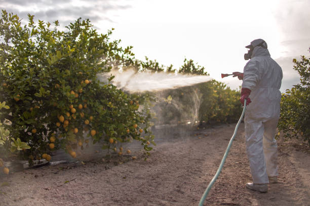 Prairie Creek, AR Pest Control Company