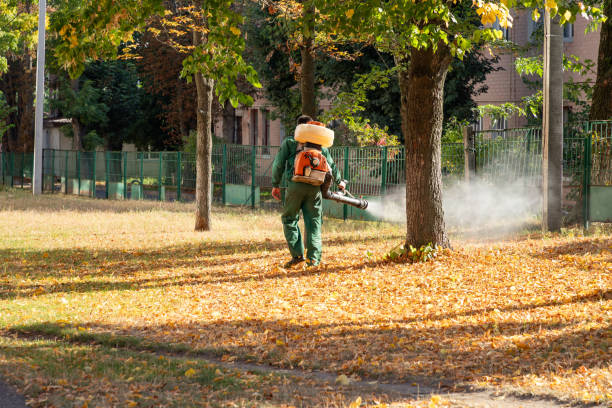 Best Cockroach Control Services  in Prairie Creek, AR
