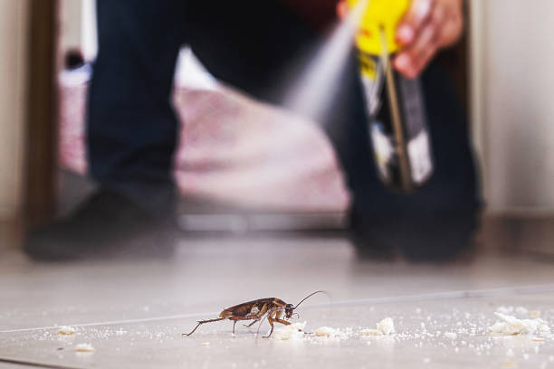 Best Mosquito Control Services  in Prairie Creek, AR
