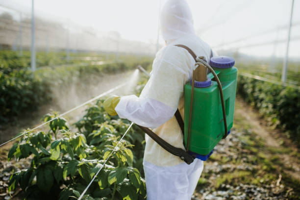 Pest Control Cost in Prairie Creek, AR